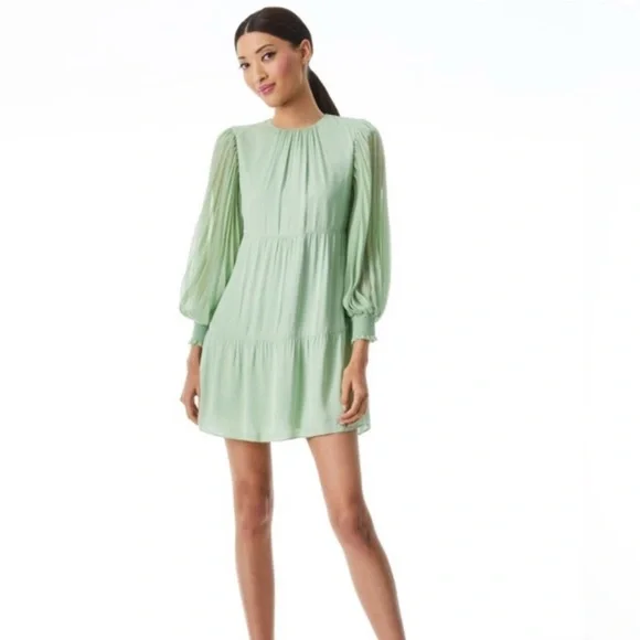 Alice + Olivia Sheer Dress - Picture 2 of 8